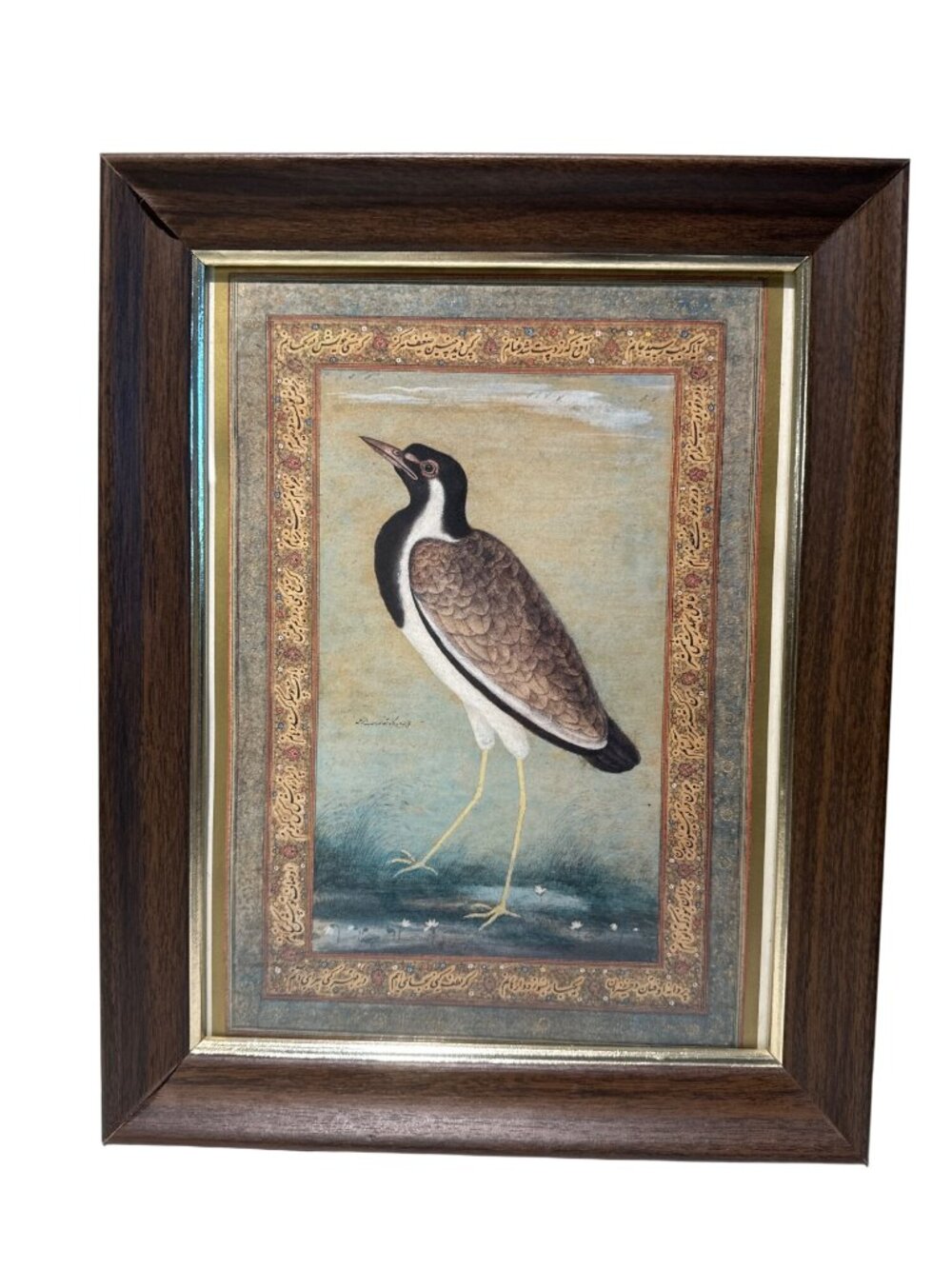 Framed Fine Art Print Indian Lapwing Mughal Empire Rare 12x9 Framed